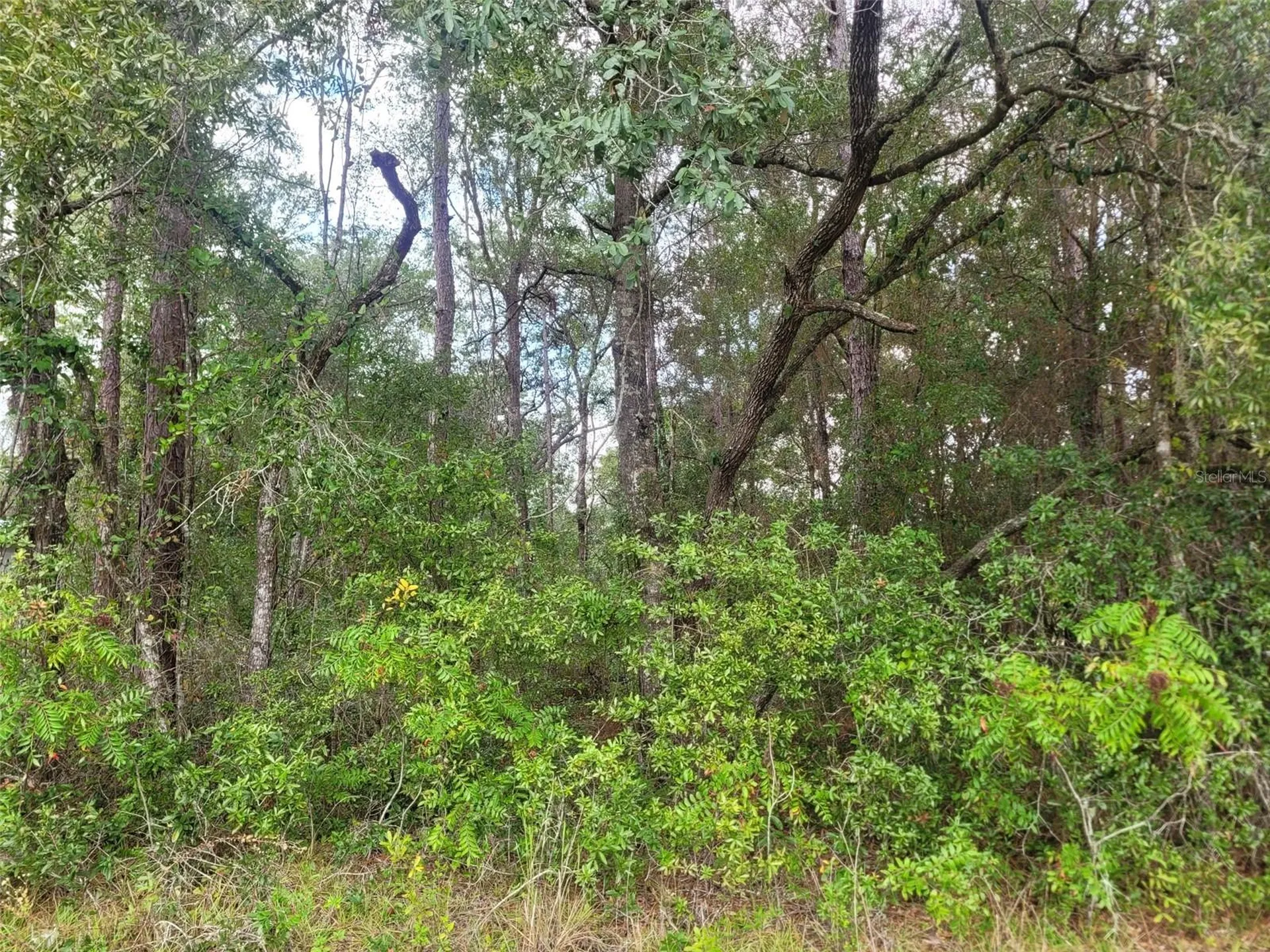 9858 N Jourden Drive Citrus Springs FL 34434