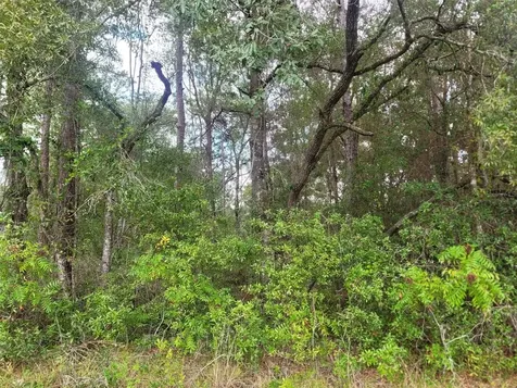9858 N Jourden Drive Citrus Springs FL 34434