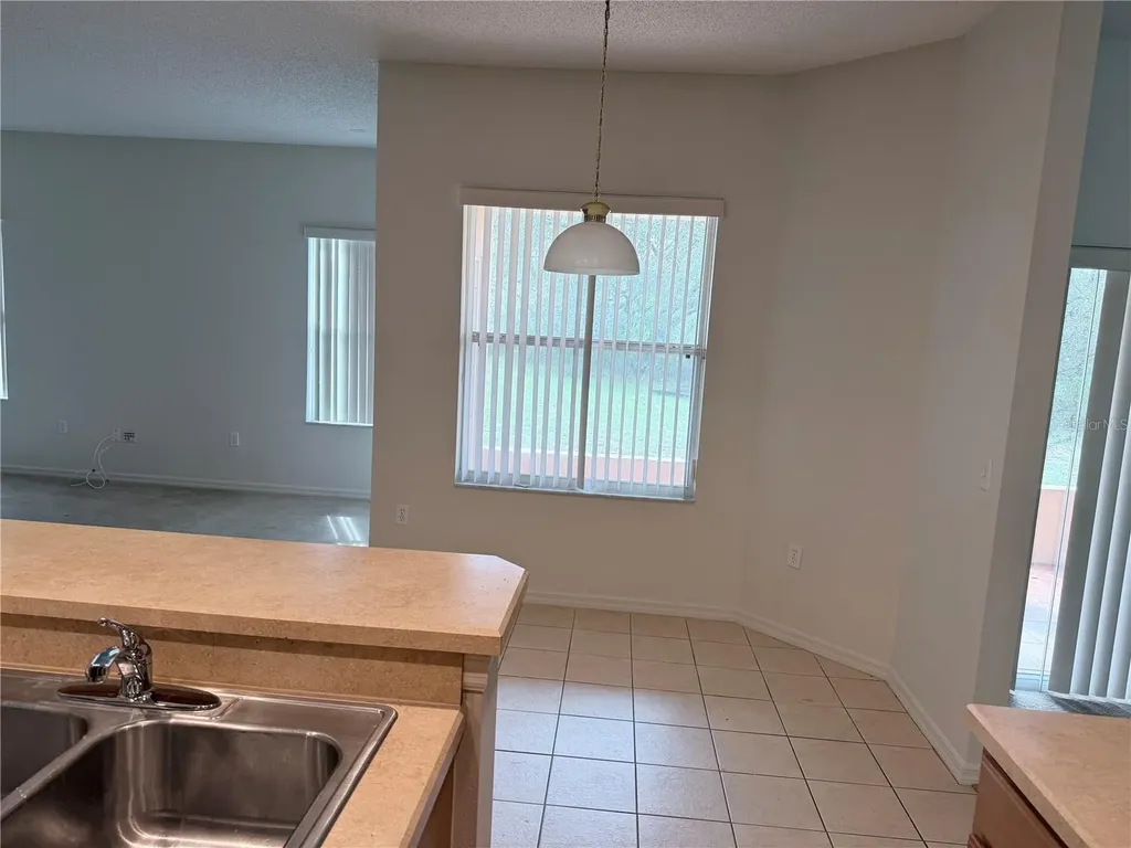 1419 Punta Gorda Drive Kissimmee FL 34759