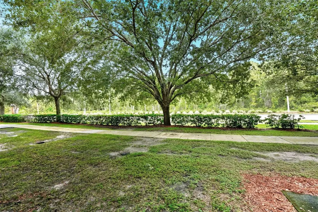 3176 Feltrim Place Kissimmee FL 34747