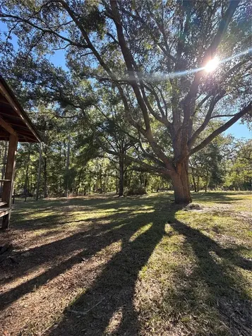 563 SW Longhorn Terrace Fort White FL 32038