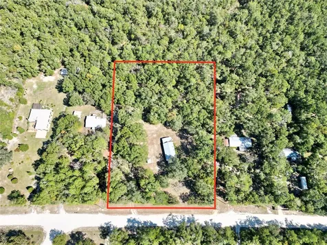 563 SW Longhorn Terrace Fort White FL 32038