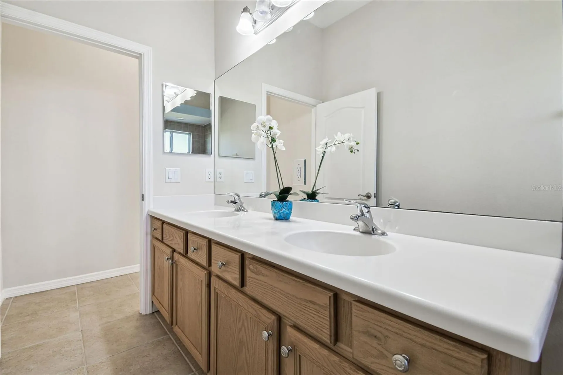 15639 Seth Country Lane Wimauma FL 33598