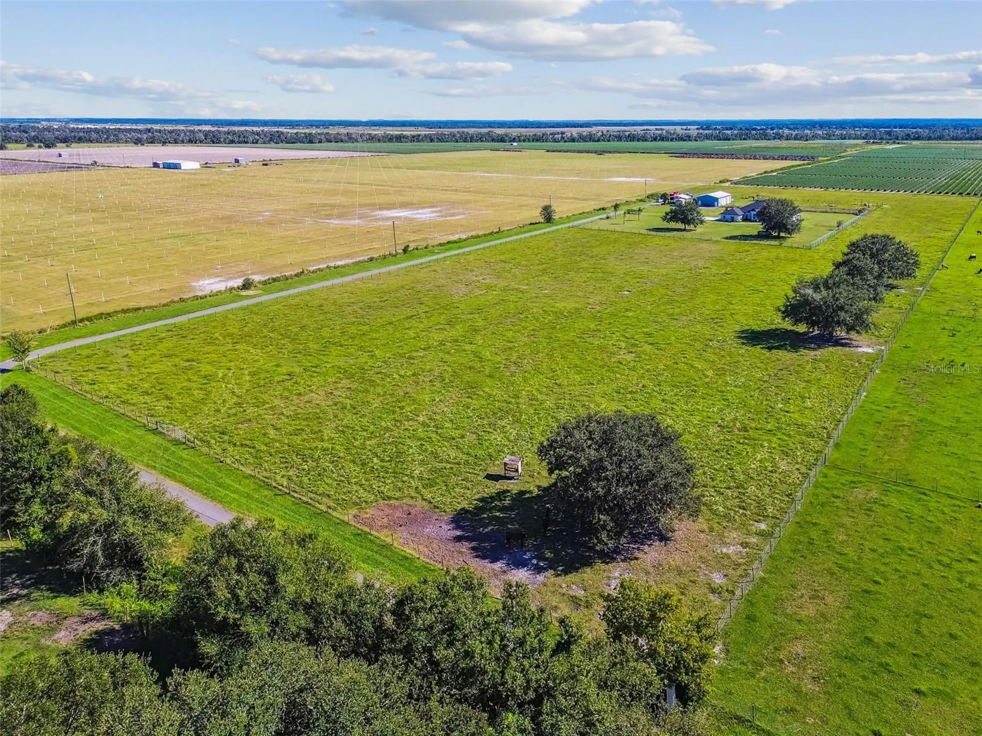 15639 Seth Country Lane Wimauma FL 33598
