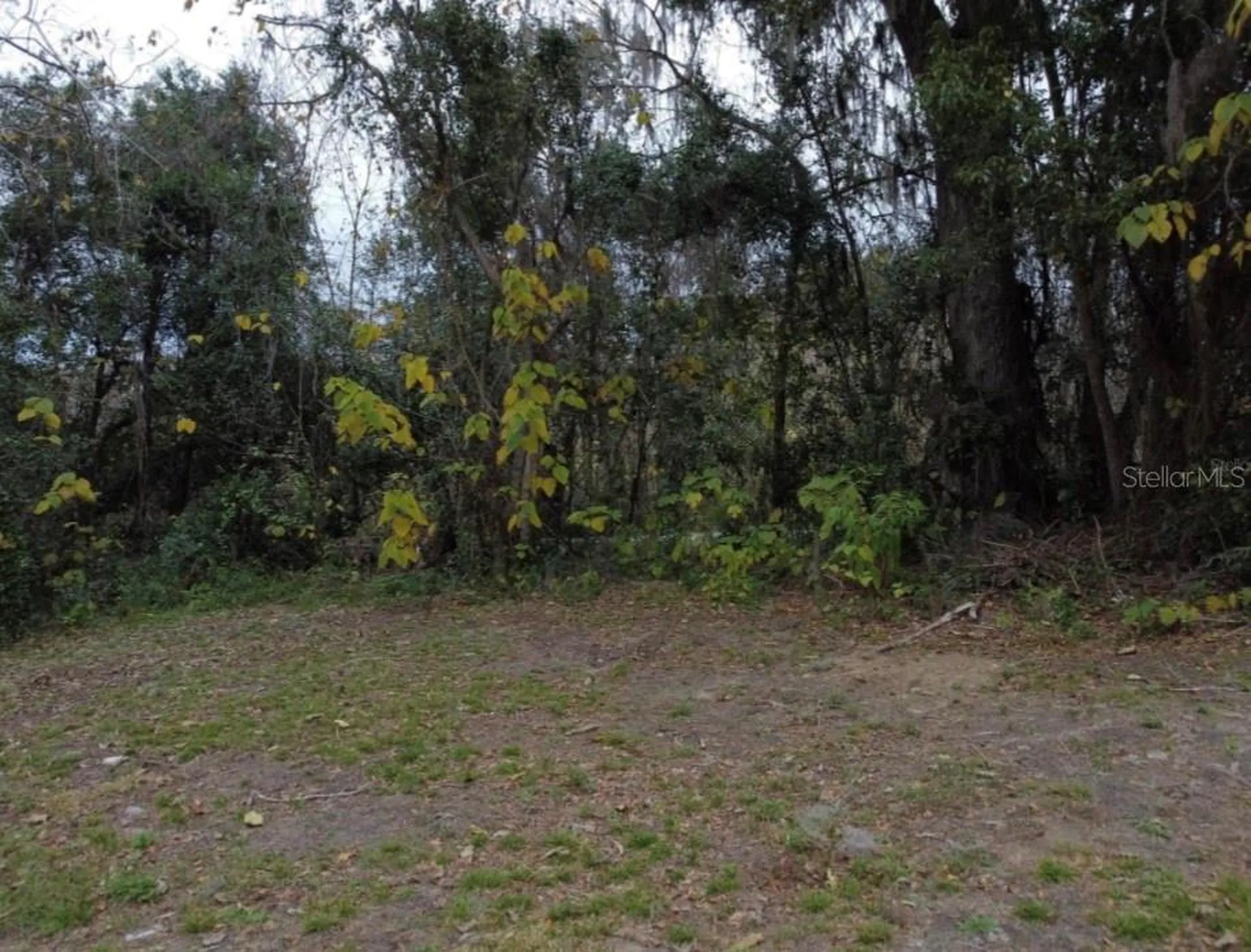 0 NW 45 Street Ocala FL 34482