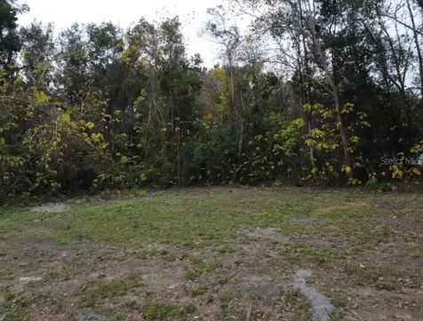 0 NW 45 Street Ocala FL 34482