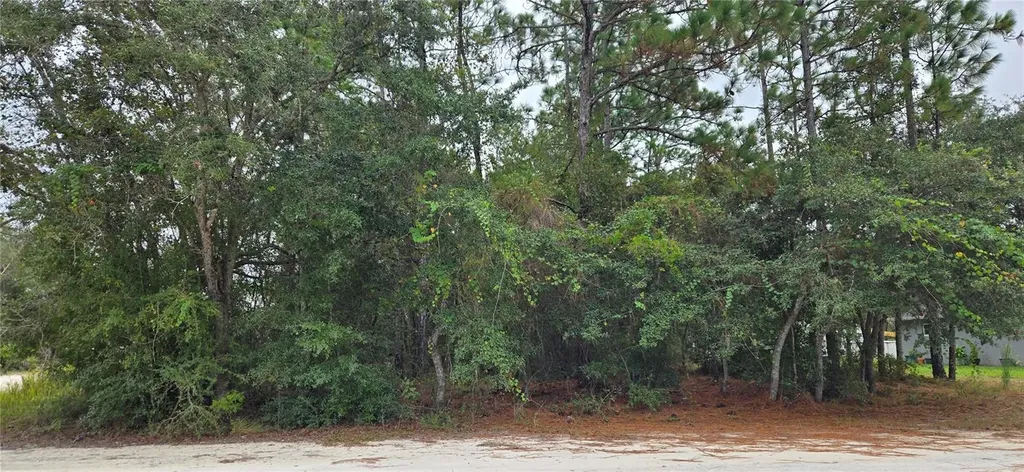 13476 Canada Goose Road Brooksville FL 34614