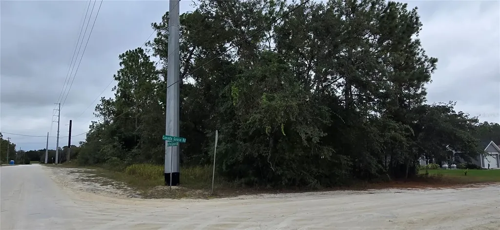 13476 Canada Goose Road Brooksville FL 34614