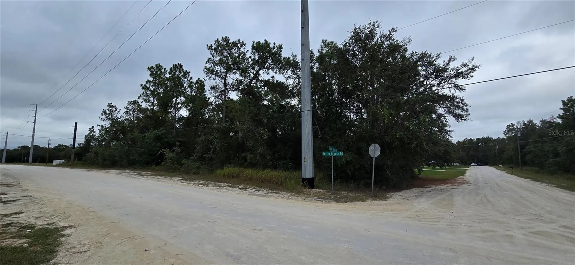 13476 Canada Goose Road Brooksville FL 34614
