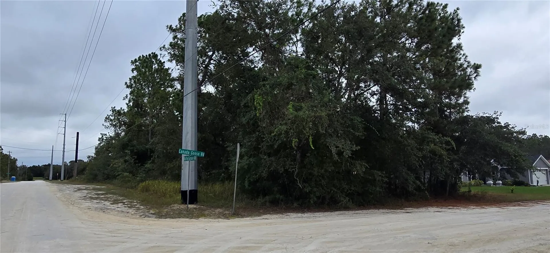 13476 Canada Goose Road Brooksville FL 34614