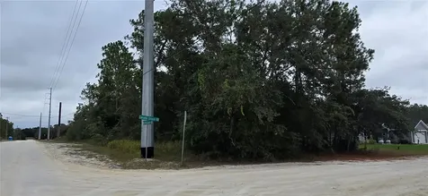 13476 Canada Goose Road Brooksville FL 34614