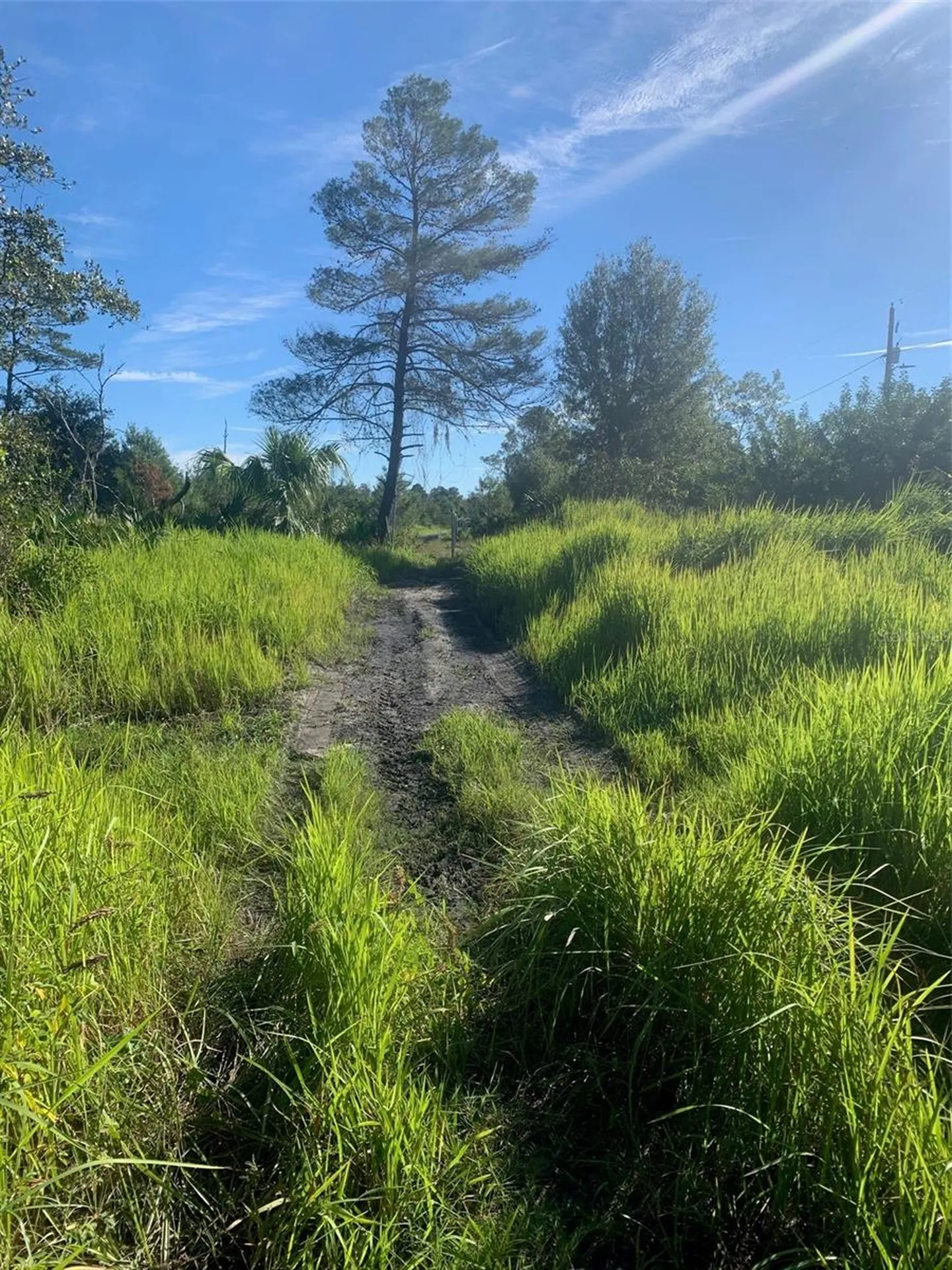 2701 Metro Drive Ruskin FL 33570