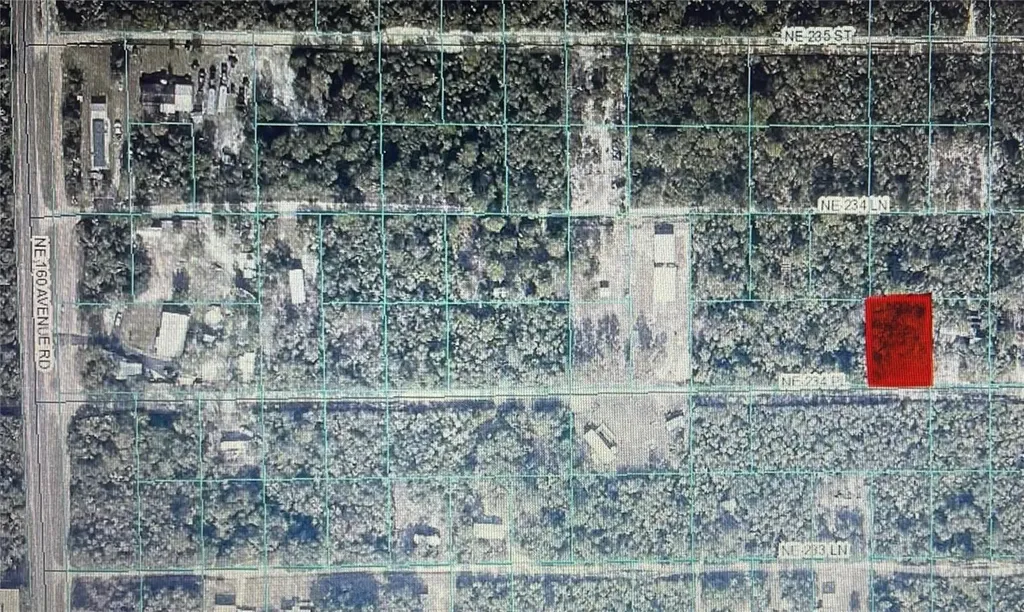 Tbd NE NE 234th Place Fort Mc Coy FL 32134