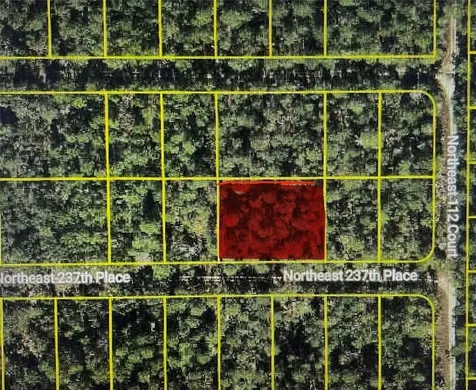 Tbd NE 237th Place Fort Mc Coy FL 32134