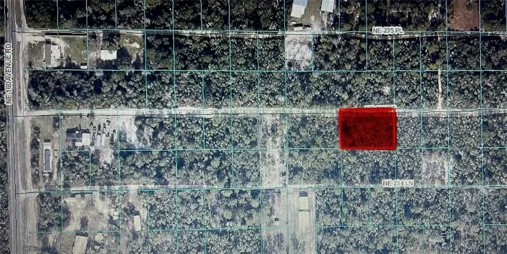 Tbd NE 235th Street Fort Mc Coy FL 32134