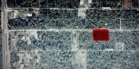 Tbd NE 235th Street Fort Mc Coy FL 32134