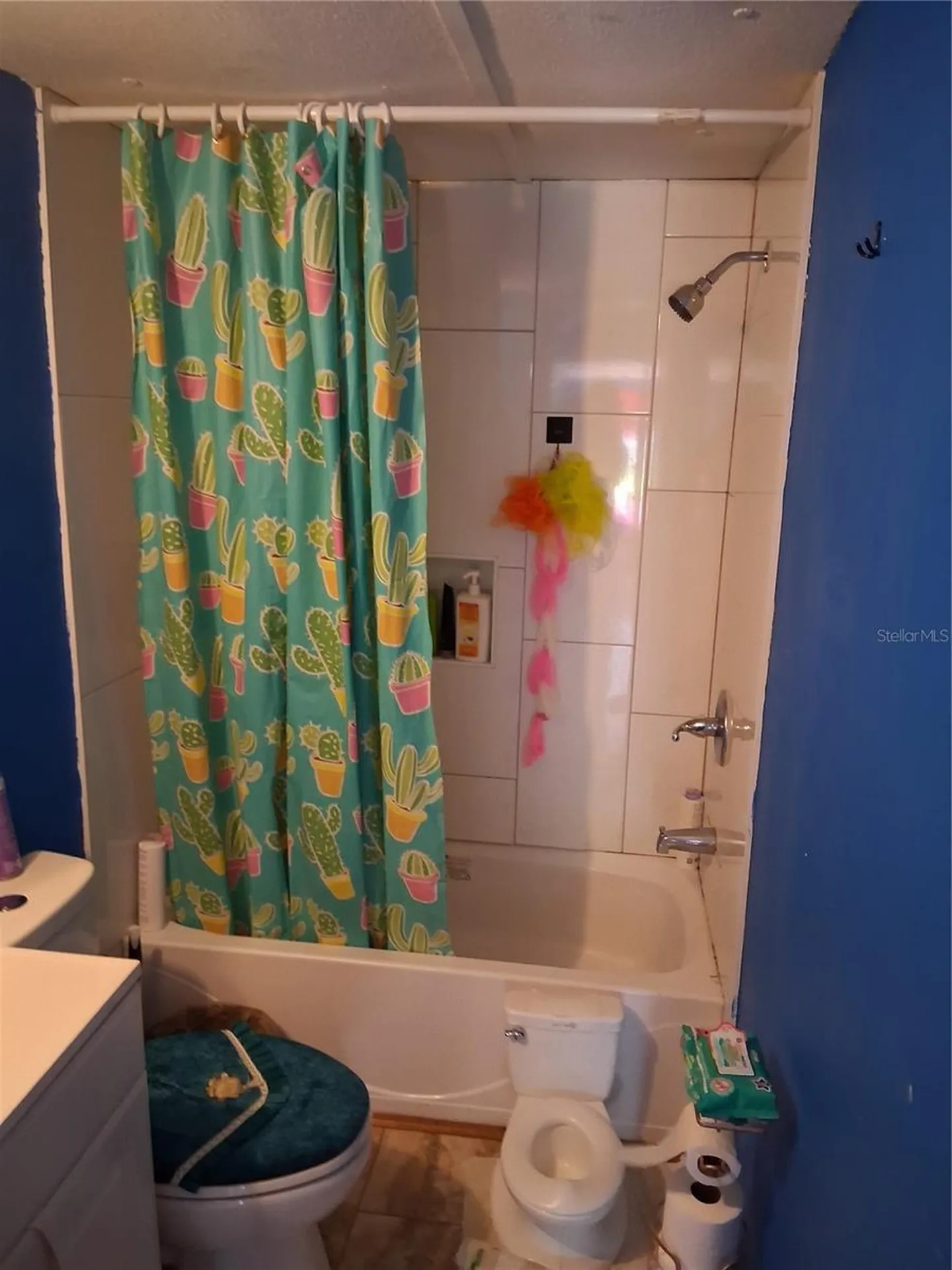 6290 SE 140th Place Summerfield FL 34491