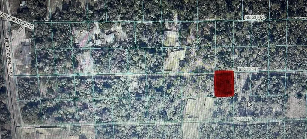 Tbd NE 236th Street Fort Mc Coy FL 32134