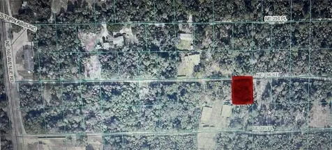 Tbd NE 236th Street Fort Mc Coy FL 32134