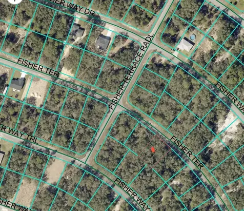 Fisher Terrace Ocklawaha FL 32179