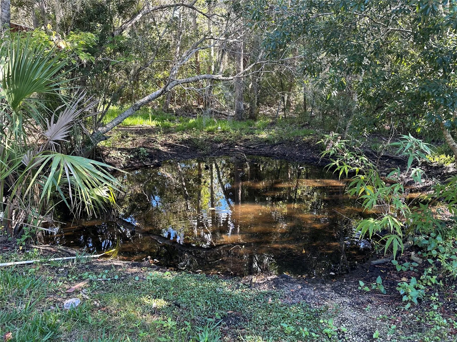 237 N Candle Point Crystal River FL 34429