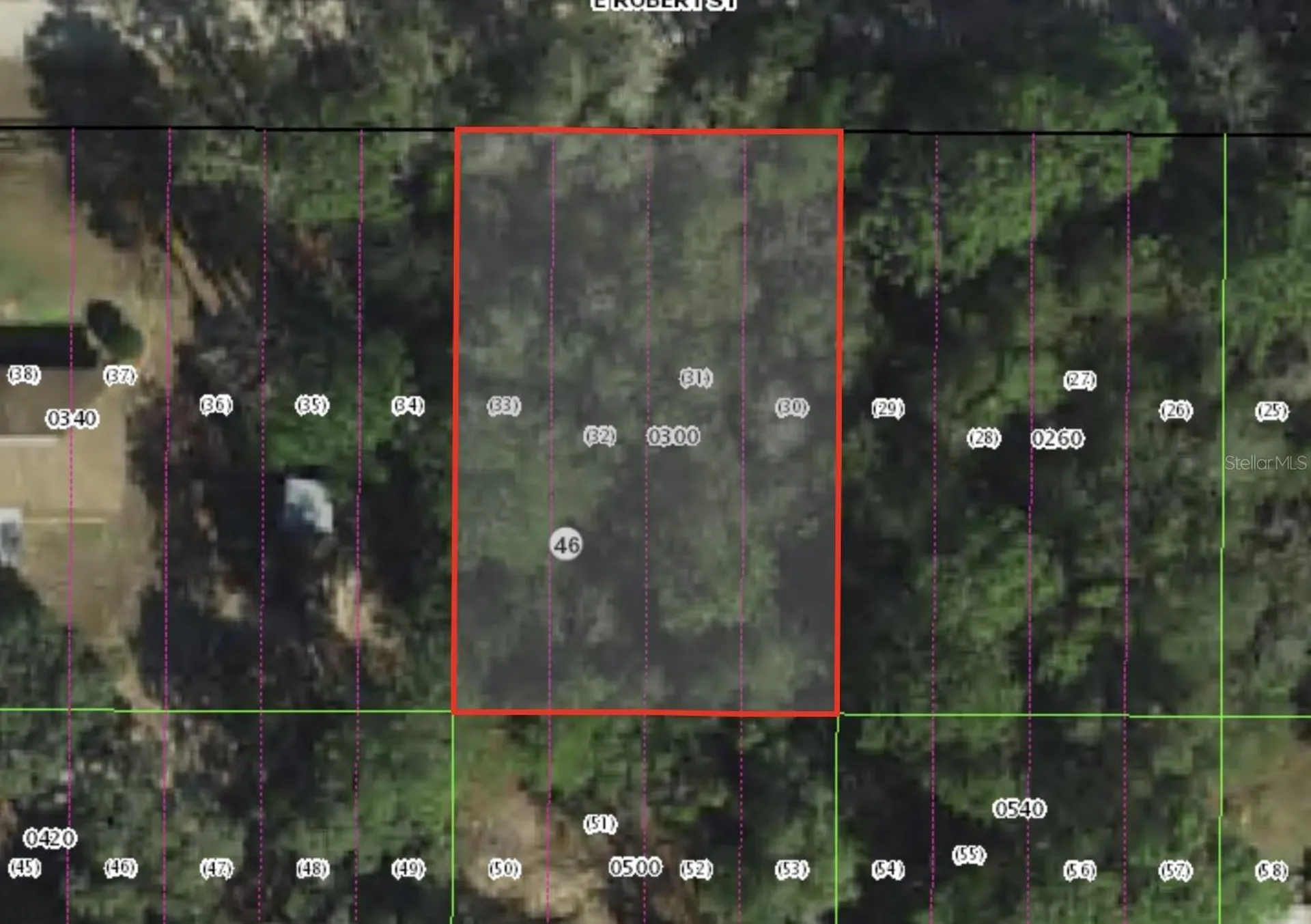 3046 E Robert Street Inverness FL 34453