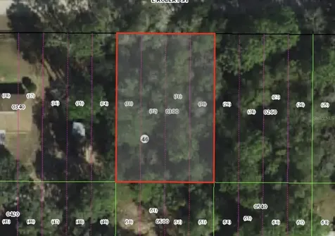 3046 E Robert Street Inverness FL 34453