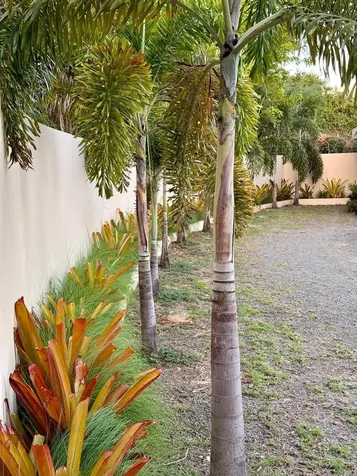 5 Puerto Real Vieques PR 00765