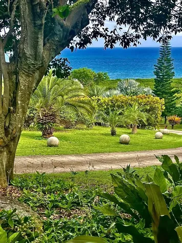5 Puerto Real Vieques PR 00765