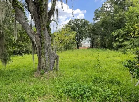 7449 Restful Street Winter Park FL 32792