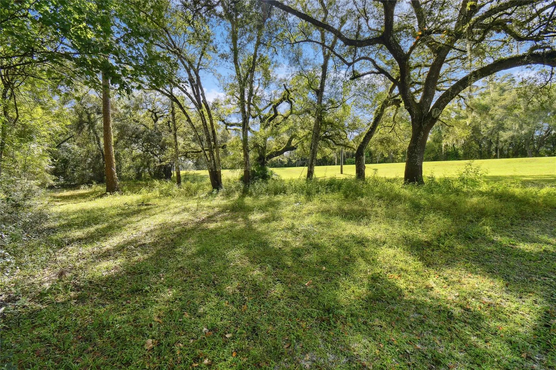3384 Mckethan Road Dade City FL 33523