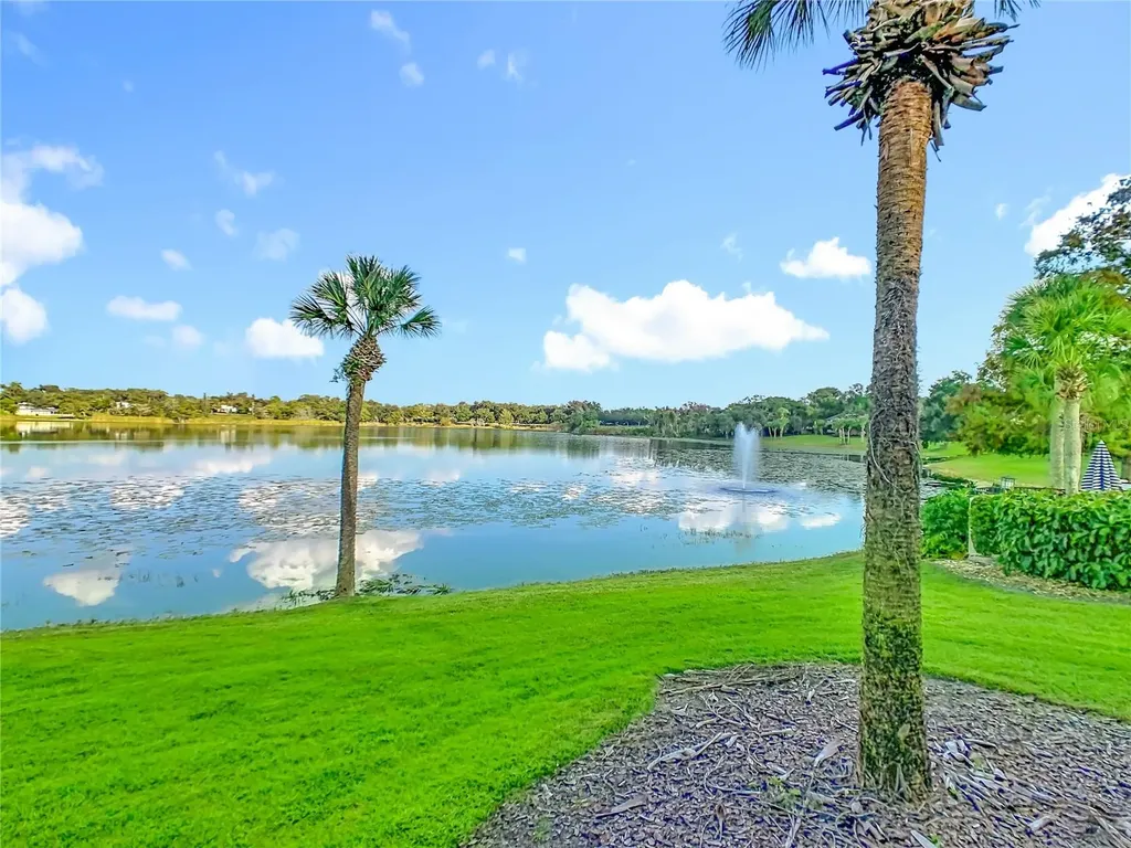 353 W Lake Faith Drive Maitland FL 32751