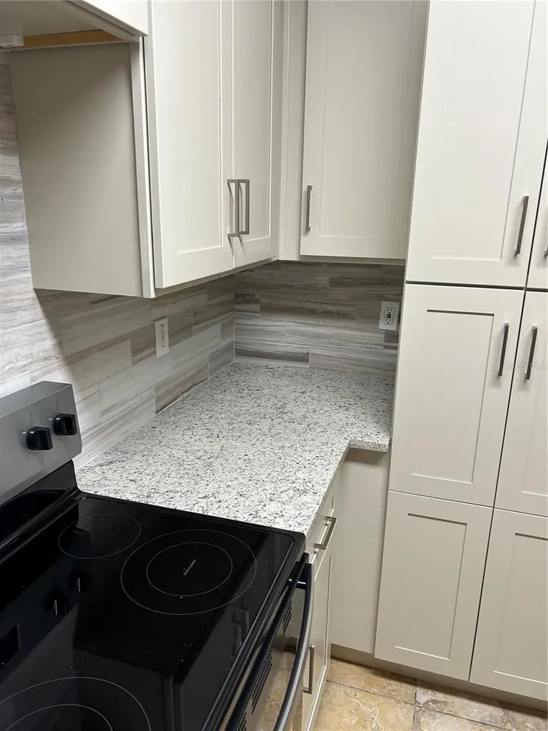 6023 Osprey Lake Circle Riverview FL 33578