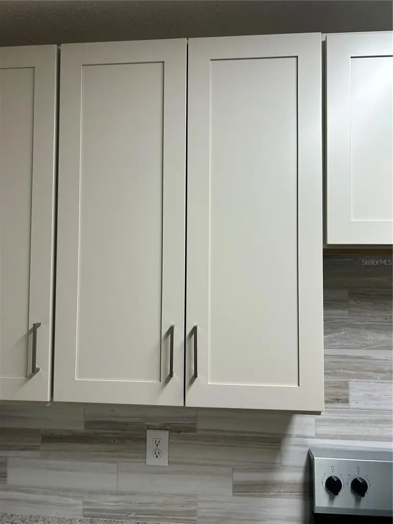 6023 Osprey Lake Circle Riverview FL 33578