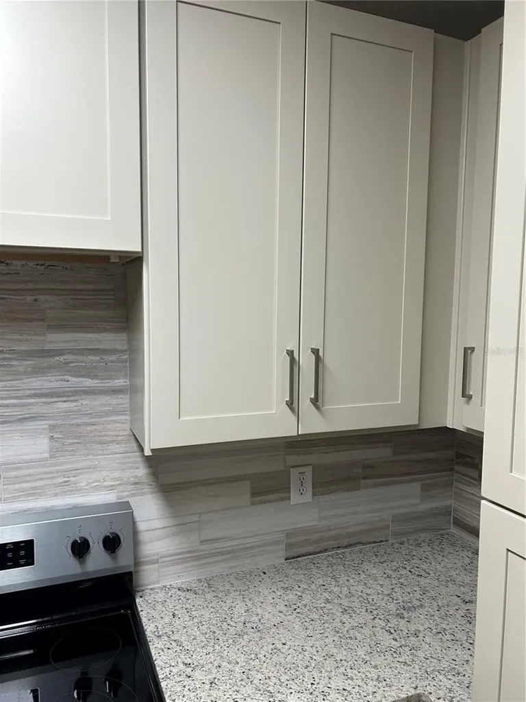 6023 Osprey Lake Circle Riverview FL 33578