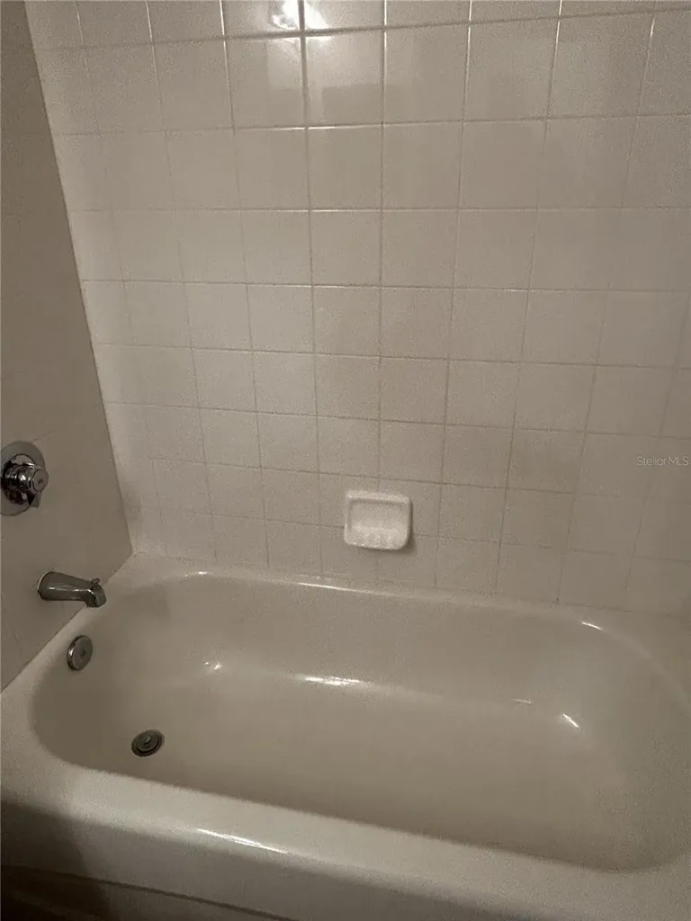 6023 Osprey Lake Circle Riverview FL 33578