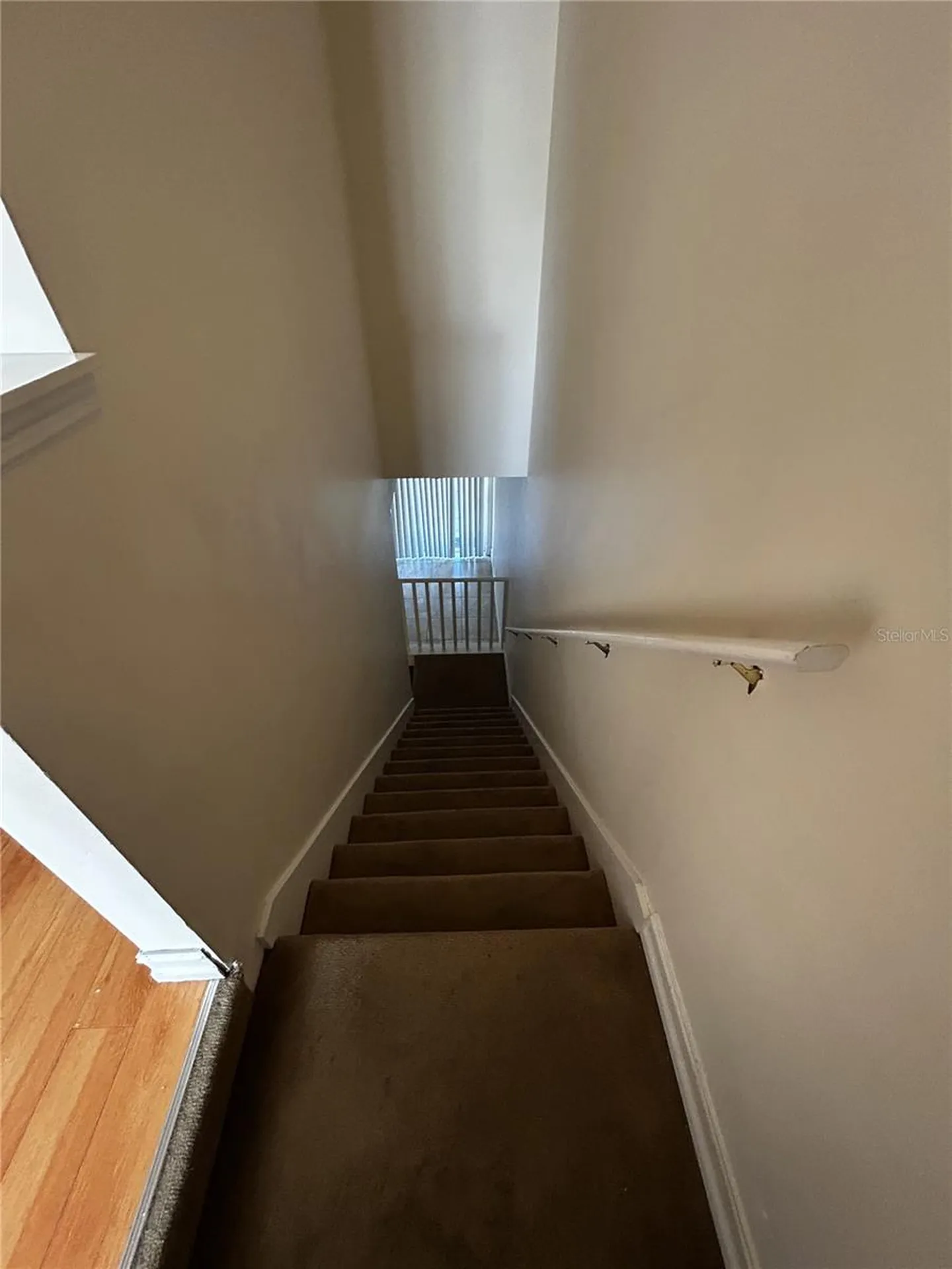6023 Osprey Lake Circle Riverview FL 33578