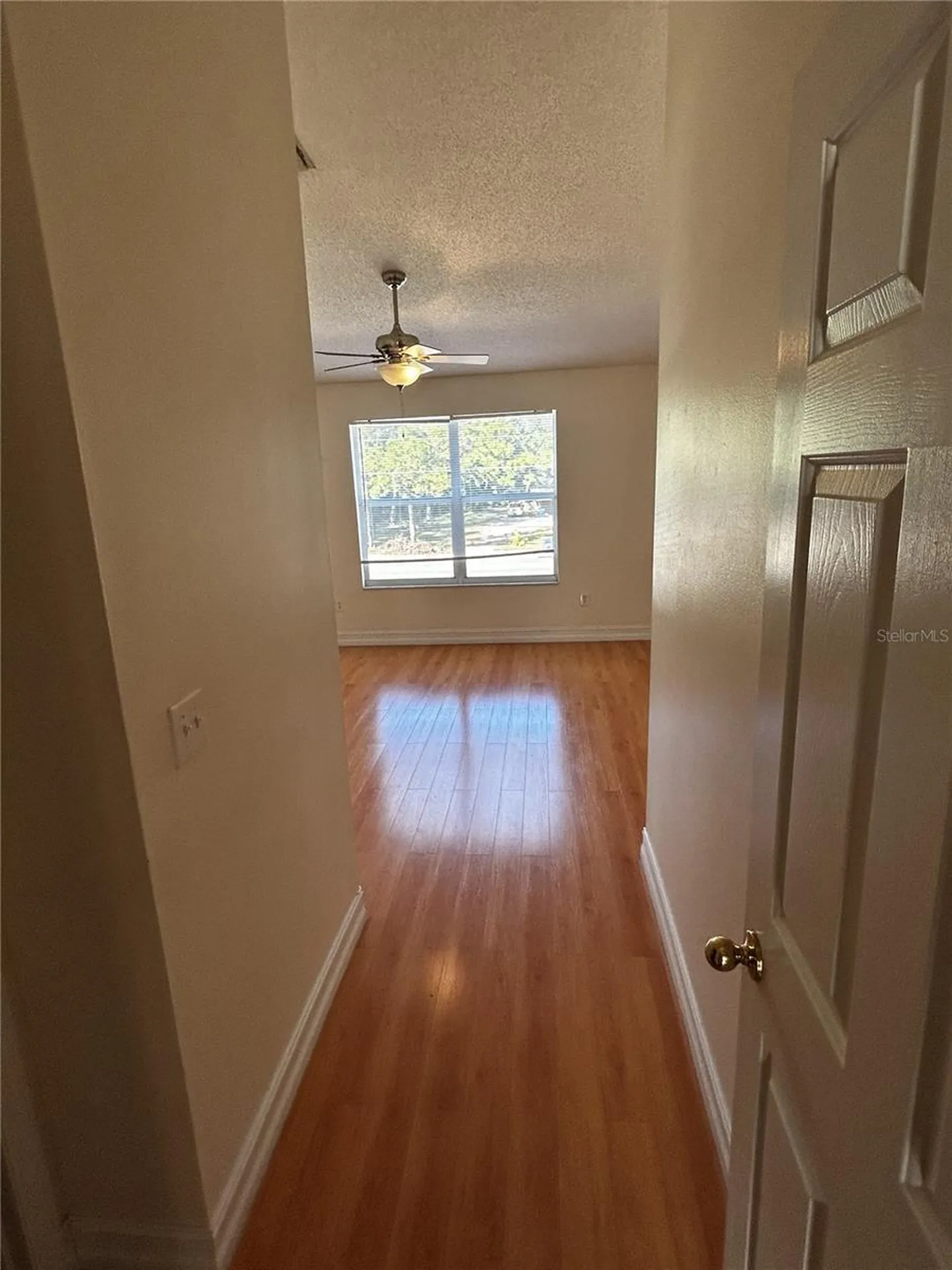 6023 Osprey Lake Circle Riverview FL 33578