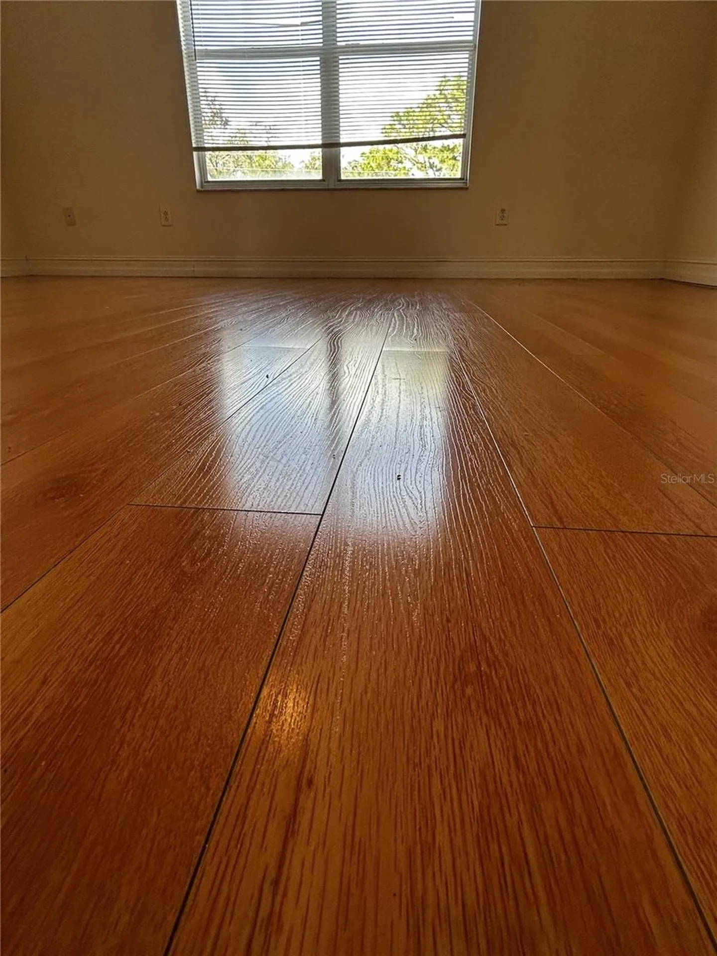 6023 Osprey Lake Circle Riverview FL 33578