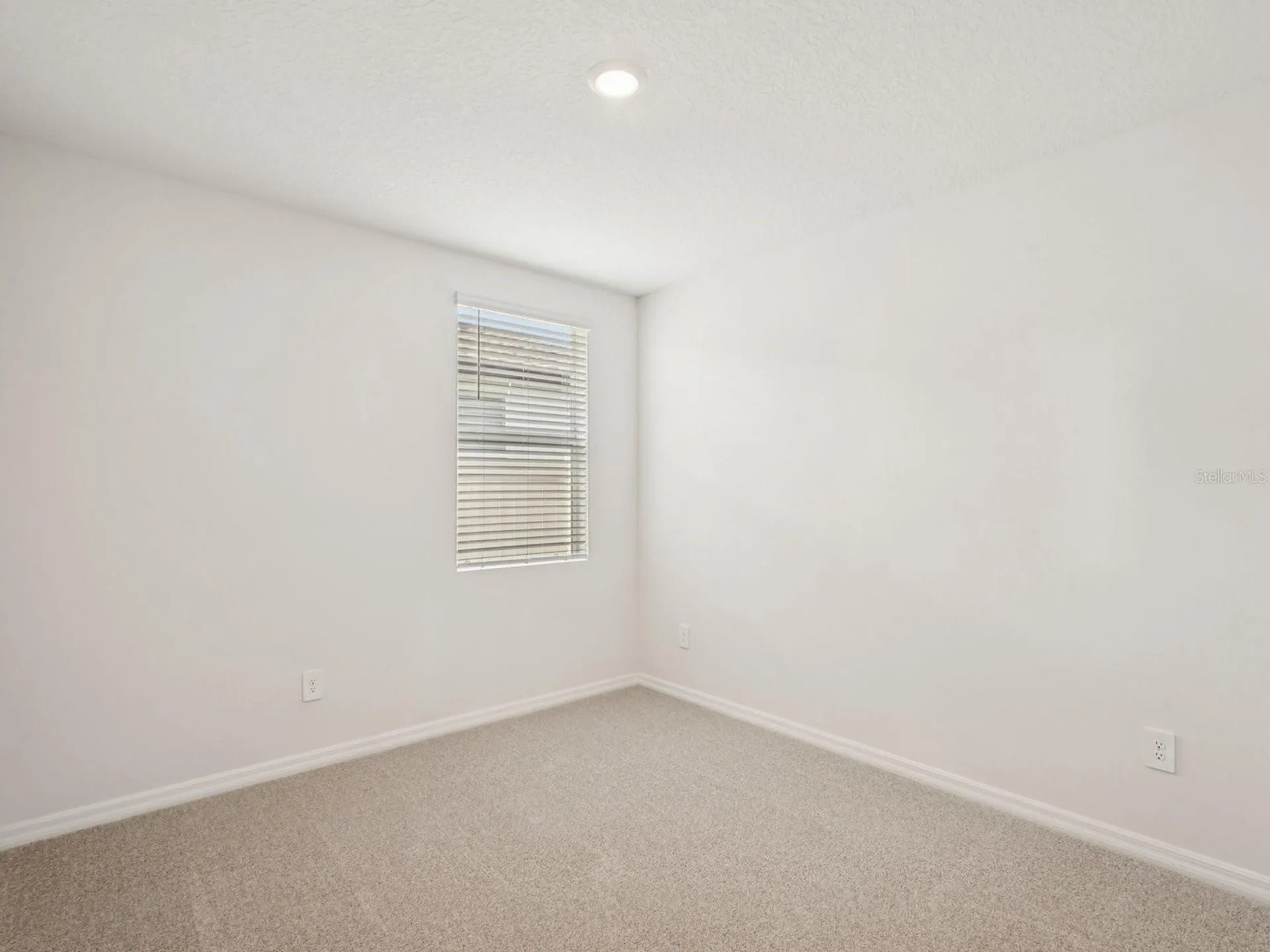 1808 Coolridge Place Zephyrhills FL 33541
