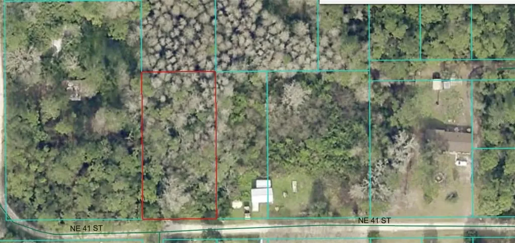 Lot 16 NE 41 Silver Springs FL 34488