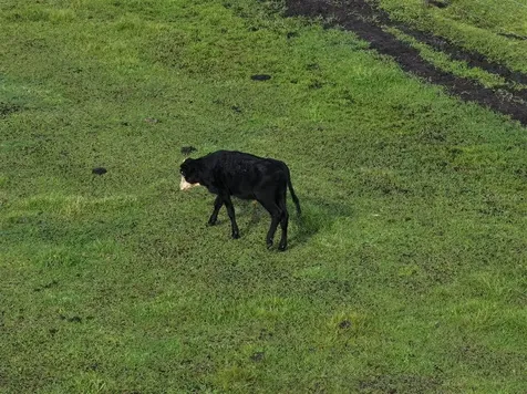 14935 Coker Gully Road Myakka City FL 34251
