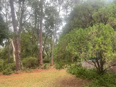 635 NE 9th Avenue Gainesville FL 32601