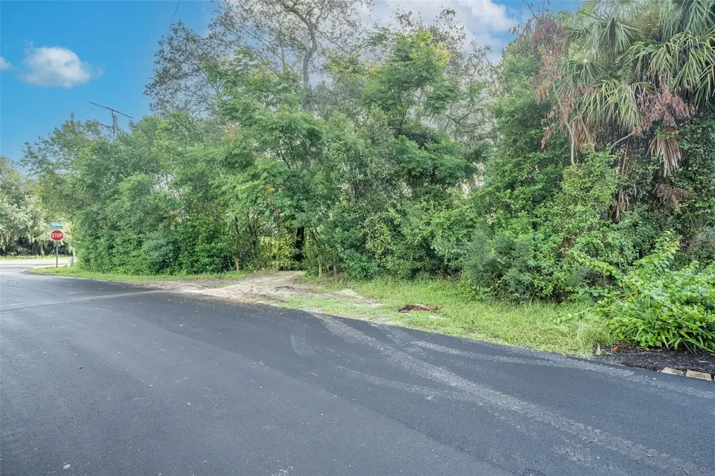 2163 Van Orman Drive Deltona FL 32725