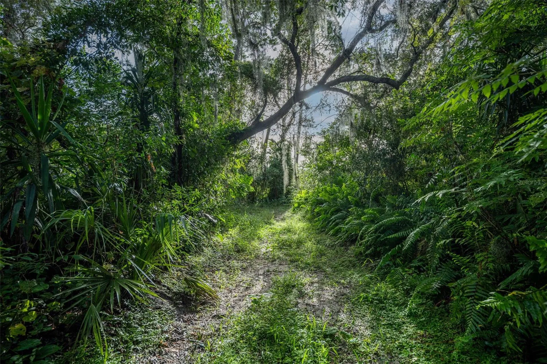 2163 Van Orman Drive Deltona FL 32725