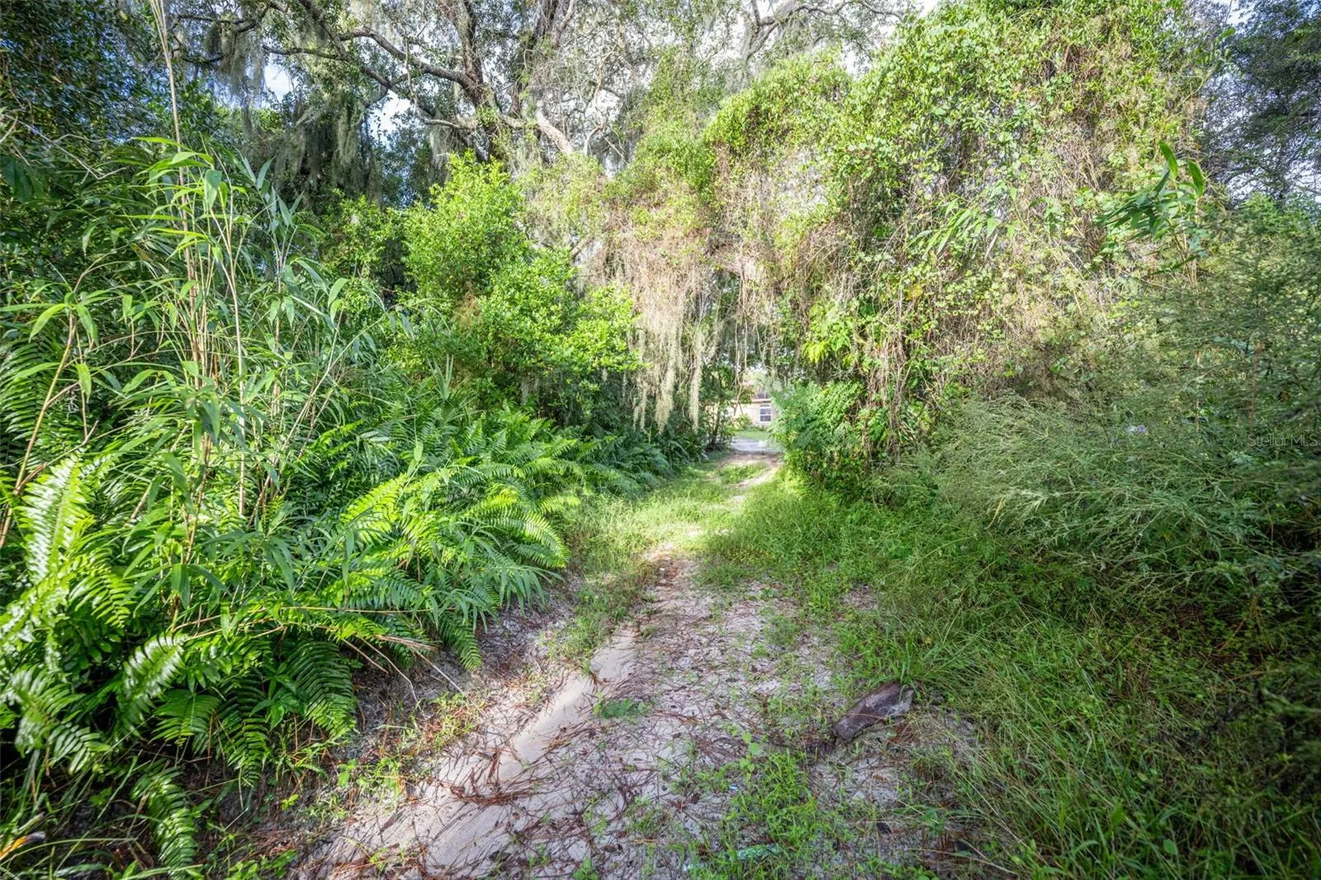 2163 Van Orman Drive Deltona FL 32725