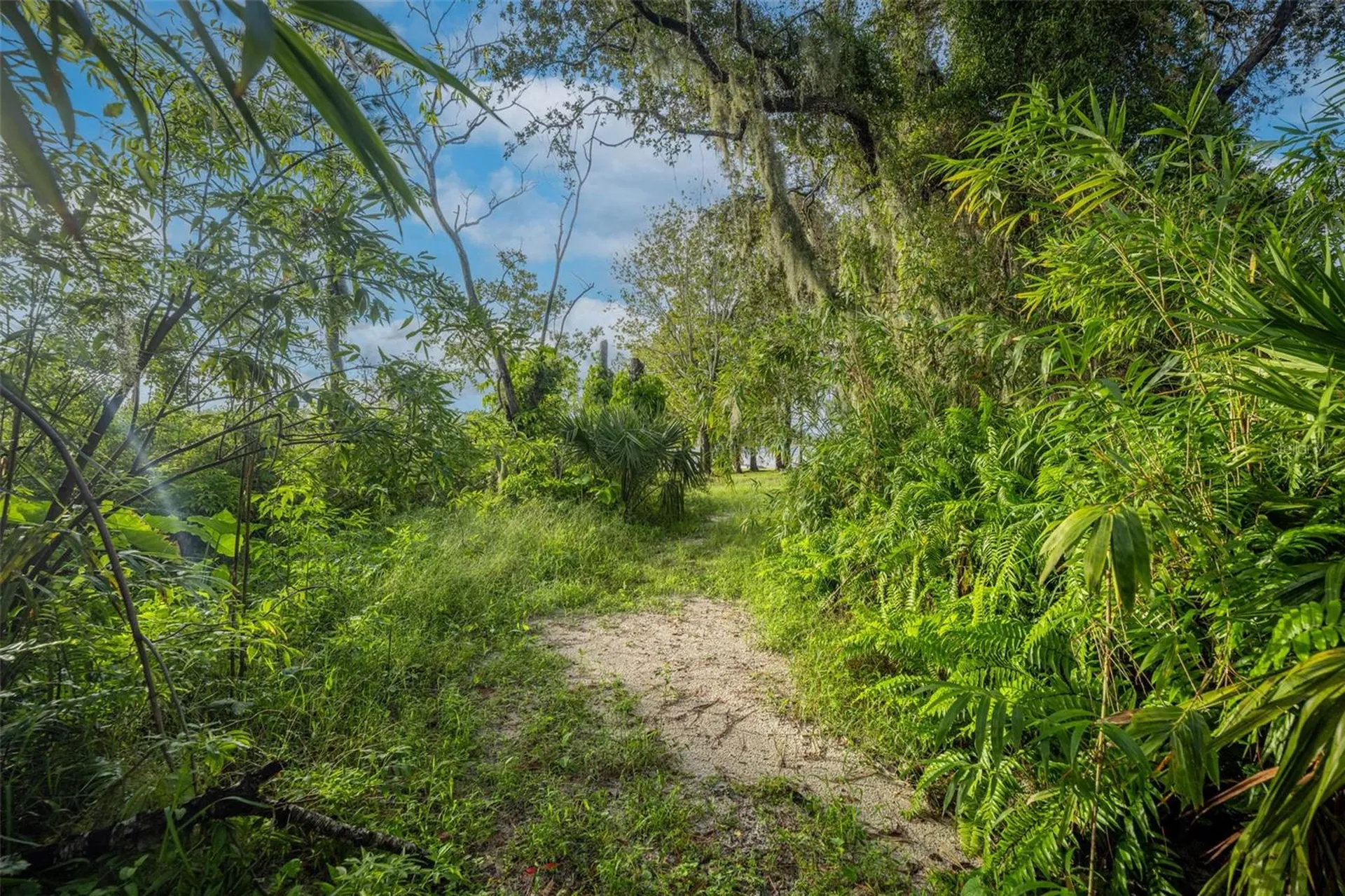 2163 Van Orman Drive Deltona FL 32725