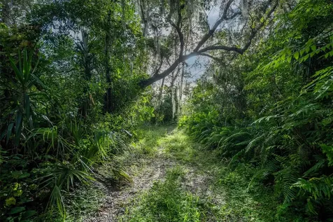 2163 Van Orman Drive Deltona FL 32725
