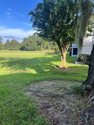 920 Loch Carron Apopka FL 32712