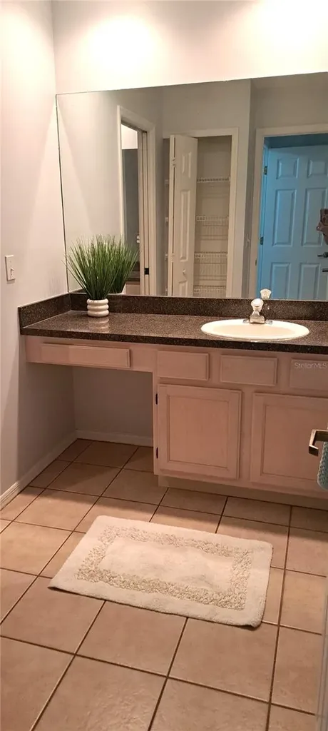 1223 Clays Trail Oldsmar FL 34677